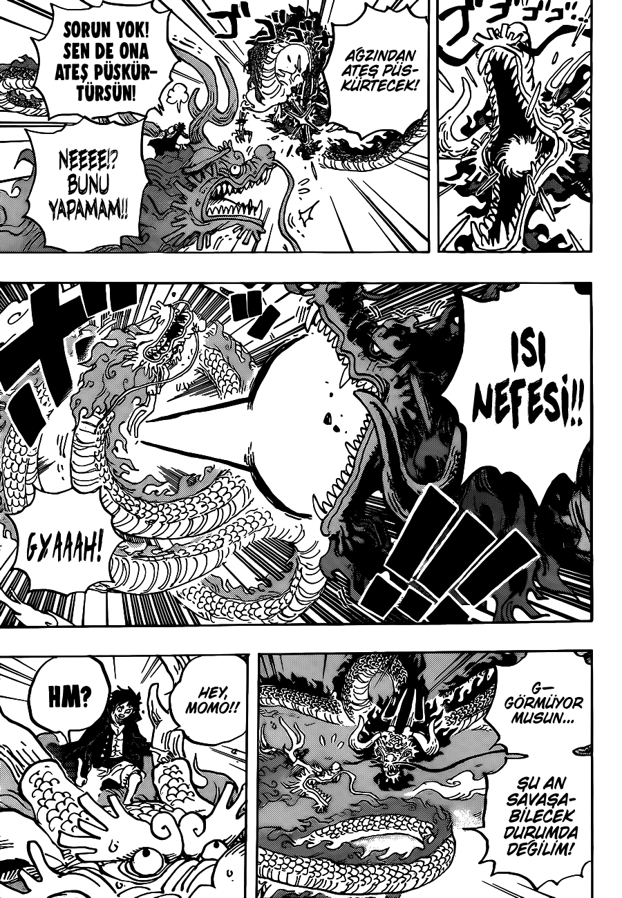 One Piece Chapter 1026  One piece chapter, Piecings, One piece manga