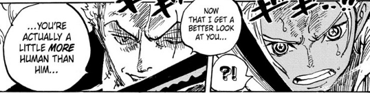 Zoro'nun Bölümdeki Sözleri 1073 Açıkladı!