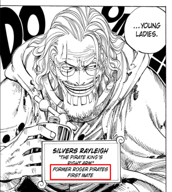 Hasır Şapkalar, One Piece Mugiwara Crew